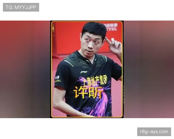 许昕家的狗都比我会接球